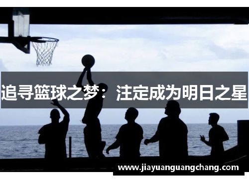 追寻篮球之梦：注定成为明日之星